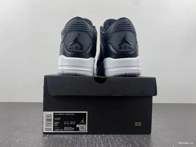 Rep TB 136064-020 Monday (2016) 3 Jordan Cyber Retro 0519